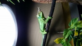20161001_151044.jpg