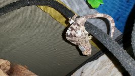 20161001_151057.jpg