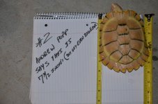 Popp Turtle Two.jpg