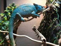 IMG_2057.jpg