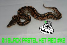 PicsArt_11-24-02.42.39.jpg