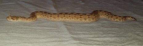 20160904_103303.jpg