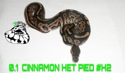 PicsArt_12-06-05.36.02.jpg