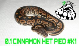 PicsArt_12-06-03.50.55.jpg