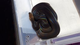 20170309_110734.jpg