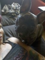 monkey and me.jpg