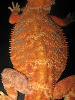IMG_2493.JPG