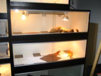 IMG_1872.JPG