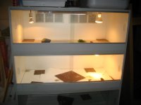 IMG_1875.JPG