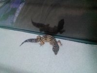IMG_20161129_192959.jpg