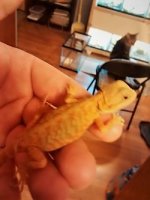 thumbnail_IMG_20161116_171528214.jpg