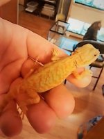 thumbnail_IMG_20161116_171532048.jpg