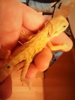 thumbnail_IMG_20161116_171721755.jpg