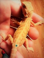 thumbnail_IMG_20161116_171732065.jpg