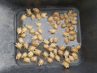 20161024_111401.jpg