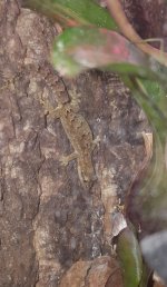 20161024_184618.jpg