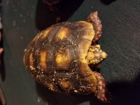 20170103_213554.jpg