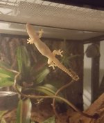 20161024_191322.jpg