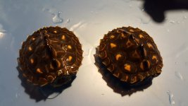 20170227_194406.jpg