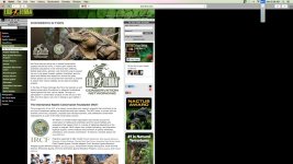Screen Shot 2017-01-04 at 9.28.15 AM.jpg