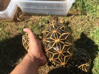 IMG_0441.jpg