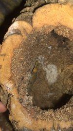 WP_20160910_16_21_36_Pro.jpg