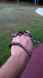 20160913_192310.jpg