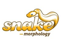 snake morphology AD.jpg