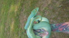 20160712_173652.jpg