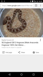 Screenshot_20170227-143524.jpg