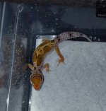 20160905_100834.jpg