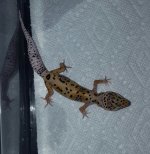 20160905_100817.jpg