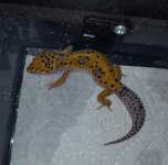 20160905_100854.jpg