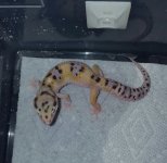 20160905_103149.jpg