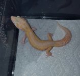20160905_103135.jpg