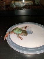 IMG_20170104_174410.jpg