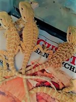 thumbnail_IMG_20161130_164635001.jpg