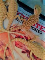 thumbnail_IMG_20161130_164637374.jpg