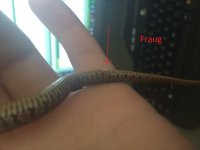 eJwNyMsNhCAQANBeKIA_ONgNQYJGZQgzxsNme999x_cRz7zEKnbmQatS20EF5yaJceZWZUNsV83jIFnwVpk5l_2unUnZEJO2.jpg