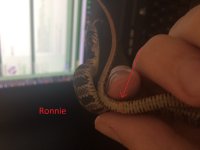 eJwNyFEOgyAMANC7cAAKBRl4G4IEzZQSWrOPZXef7_N91T1PtapdZPAKsB1caG6ahWZuVTeidtY8DtaFLsgiuexX7cKAS0gG.jpg