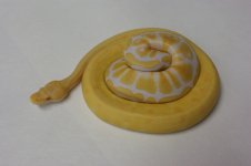 DSC00865.jpg