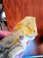 thumbnail_IMG_20161117_173339214.jpg