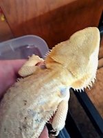thumbnail_IMG_20161117_173330683.jpg