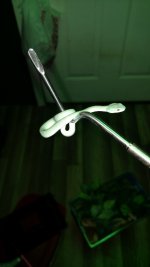 IMG_20170120_223546150.jpg