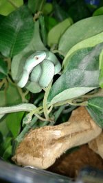 IMG_20170120_223053198.jpg