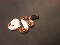 20161101_220518.jpg