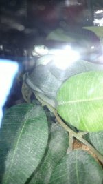 IMG_20170120_222908290.jpg