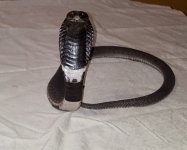 20160828_164251.jpg