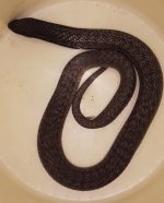 20160828_164351.jpg