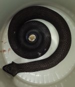 20160828_164444.jpg